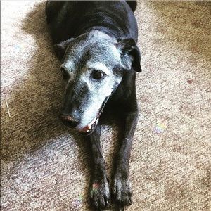 Meet your Posher, Elizabeth